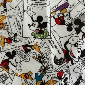 Disneyland cinch backpack